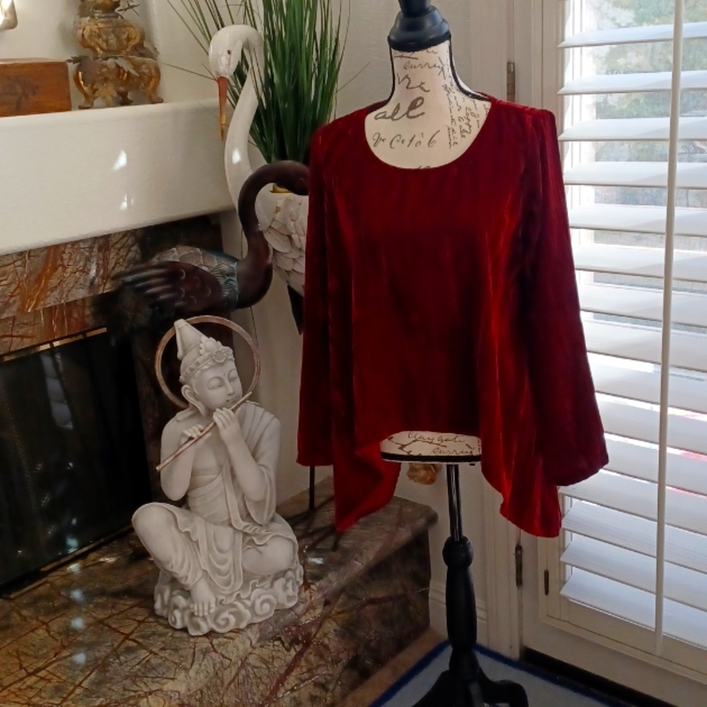 LISA BAYNE Beautiful Burgundy VELVET top.